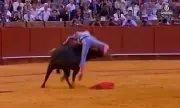 Bullfighter Gored in Thigh Days After Matador's Rectum Injury in Spain