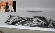 Businessman Avoids Jail After Storing Fish in Bath for Illegal Ready Meals