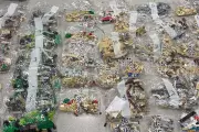 California Man Accused of $34,000 Lego Heist, Replacing Bricks with Pasta