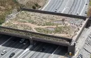 California's Wildlife Bridge Nears Completion Amid Right-Wing Criticism