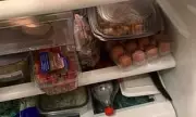 Can You Spot the Cat Hidden in This Fridge Full of Food?