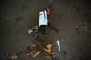 Canada's Coastline Mystery: Empty McDonald's Sauce Bags Wash Ashore