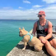 Carpenter Quits Job After His French Bulldog Becomes Family Breadwinner