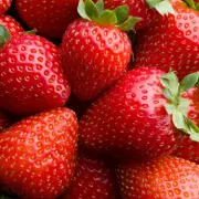 Ceramic Berry Basket Hack Keeps Strawberries Fresh for 10 Days