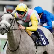 Champion Horse Gewan Dies in Training Accident at Kempton Racecourse