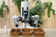 Chinese Humanoid Robots Shift Focus from Stage Shows to Practical Household Chores