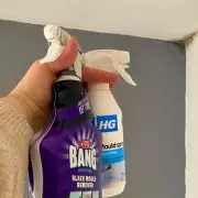 Cillit Bang vs HG Mould Spray: A Speed Test on Black Mould Removal
