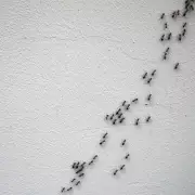 Cinnamon's Ant-Repelling Power: The Simple Spice Solution for Pest-Free Homes