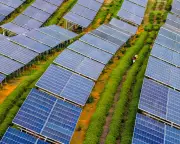 Clean Energy Surge Meets Global Electricity Demand in 2025, Fossil Fuels Stagnate