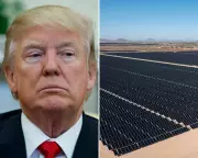 Clean Energy Surges Past Gas in US for First Time Despite Trump Opposition