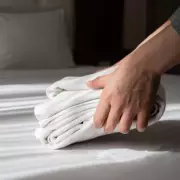 Cleaning Expert Reveals 35p Vinegar Hack for Hotel-Soft Towels