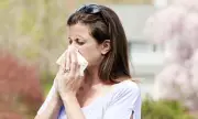 Climate Change Extends Hay Fever Season by Two Weeks, Lancet Report Warns