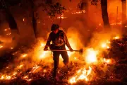 Climate Change Fuels Nighttime Wildfires, Disrupting Natural Fire Cycles
