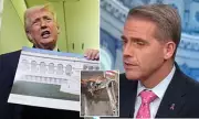 CNN's Scott Jennings Clashes Over Trump's White House Ballroom Project