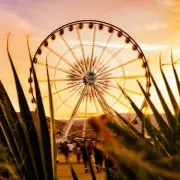 Coachella 2026 Festival-Goers Slam 'Unhinged' Food Prices at Event