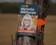 Coalition to Preference One Nation Over Independent in Crucial Farrer Byelection