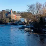 Cockermouth Crowned UK's Most Dog-Friendly Town with Scenic Walks