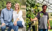 Coffee Entrepreneurs' Final Hours: Mushroom Trip Preceded Carbon Monoxide Death