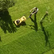 Coffee Grounds: The Kitchen Scrap Secret to a Lush, Green Lawn