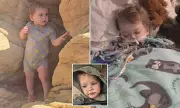 Colorado Toddler to Be Removed from Life Support After Flu and Croup Diagnosis