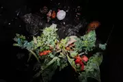 Composting Guide: How to Make 'Black Gold' for Your Garden Soil