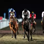 Constitution Hill Faces Tough Flat Turf Debut at Newbury as Bookies Doubt Chances