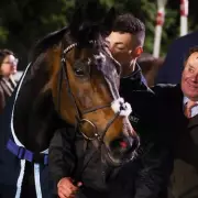 Constitution Hill Withdrawn from Group Race Debut Due to Fast Ground