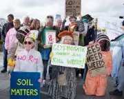 Cornwall Council's Glyphosate Plan Sparks Major Protest Over Health and Wildlife Fears