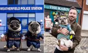 Coronation Street Goes Dog-Friendly for Charity Walkies Event in Manchester