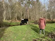 Country Diary: A Walk Through Memory and Conservation in Woolton Hill