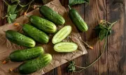 Cucumbers: The Hydrating Superfood You Need in Your Diet