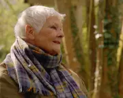 Dame Judi Dench's Surrey Garden: A Living Memorial of Lost Loved Ones
