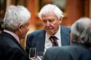 David Attenborough still 'appalled' he shot a caiman 70 years ago