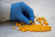 Deadly Synthetic Opioid 'Orphine' Spreads Across US, Linked to Dozens of Deaths