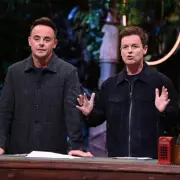 Dec Steps In to Defend Ant After Heated I'm a Celeb Clash
