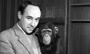 Desmond Morris, Zoologist and TV Presenter, Dies at 98 After Lifetime of Exploration