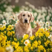 Dog Owners Warned: Keep Pets Away from These 3 Spring Plants