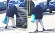 Doorbell Camera Captures Hooded Thief Stealing Hyacinth from Couple's Garden