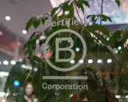 Dozens of UK Firms Face B Corp Status Loss After Rigorous Standards Overhaul