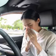 Drivers Urged to Use Car Button for Hay Fever Relief Amid High Pollen Warnings