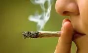 Drug Offences in England and Wales Surge 18% to 230,783 in 2025