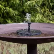 Dunelm's £14 Solar Bird Bath Creates Spring Wildlife Haven in Your Garden