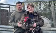 Durham's Cockerel Ban Sparks Outrage Among Allotment Holders
