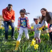 Easter Chocolate Prices Soar 15 Times Faster Than Inflation Rate