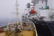 Eco Activists Ram Antarctic Trawler in Anti-Whaling 'Terrorist Attack'