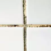 Eliminate Black Mould from Grout in 10 Minutes with Baking Soda