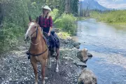 Escape Banff's Crowds on a Backcountry Horseback Adventure