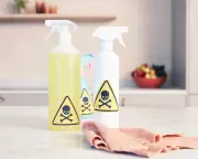 EU Toxic Chemical Ban Delayed, Causing 100,000 Tonnes Extra Pollution