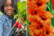 Expert Gardening Guide: What to Plant in April for a Thriving Garden