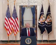 Experts Question the Strategy of Waiting Out Donald Trump's Presidency